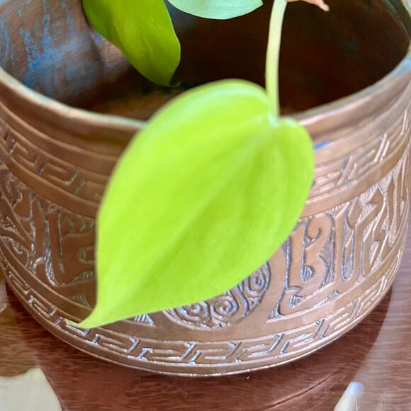 Antique Middle Eastern Kwispedoor Copper Bowl with Etched Arabic Calligraphy - Picture 5 of 13